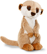 Meerkat