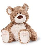 NICI Bears