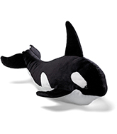 Sea World