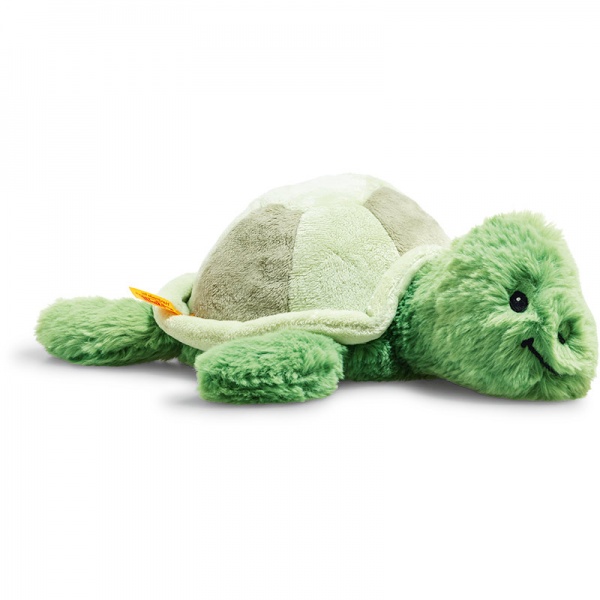 Tuggy Turtle