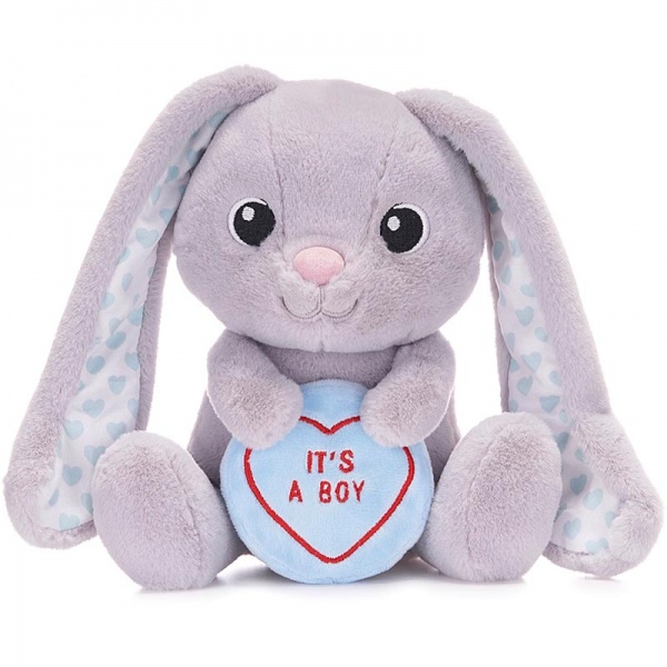 Love Hearts Baby Boy Bunny