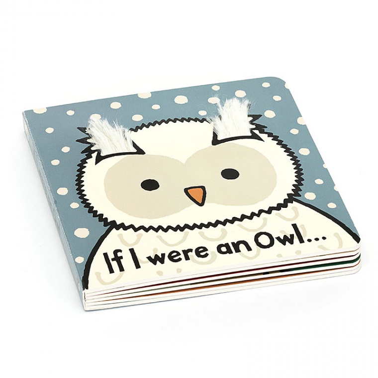 If I Were An Owl Board Book
