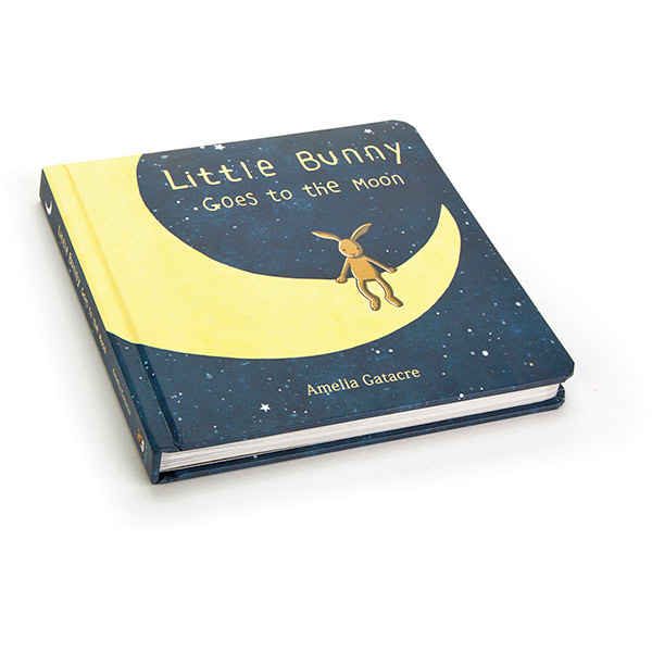 Little Bunny Goes to the Moon Book