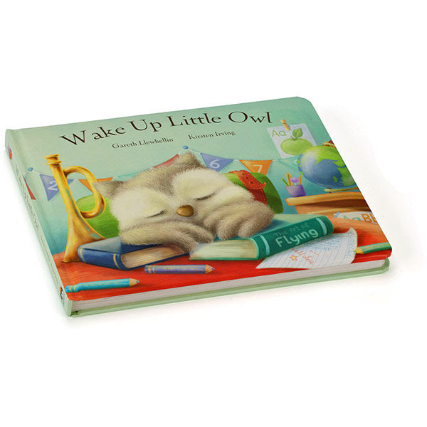 Wake Up Little Owl Book