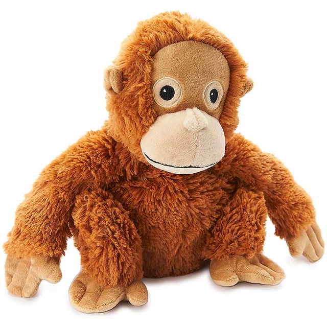 Cozy Orangutan