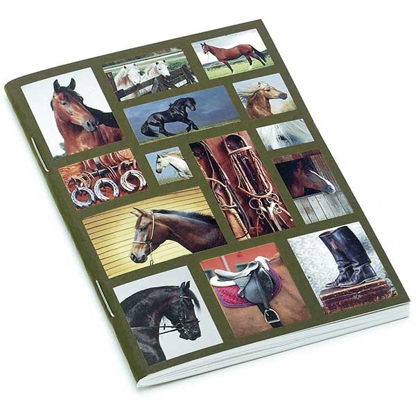 Horse Gallery Little Notebook