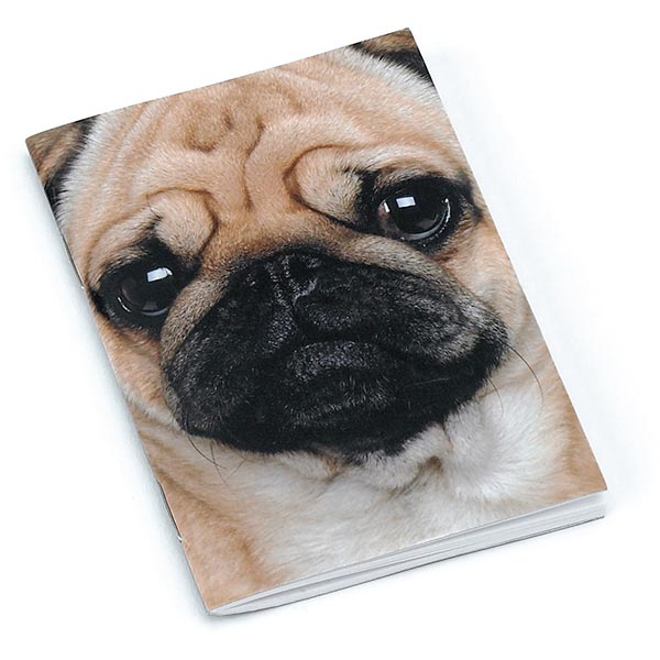 Pug Little Notebook