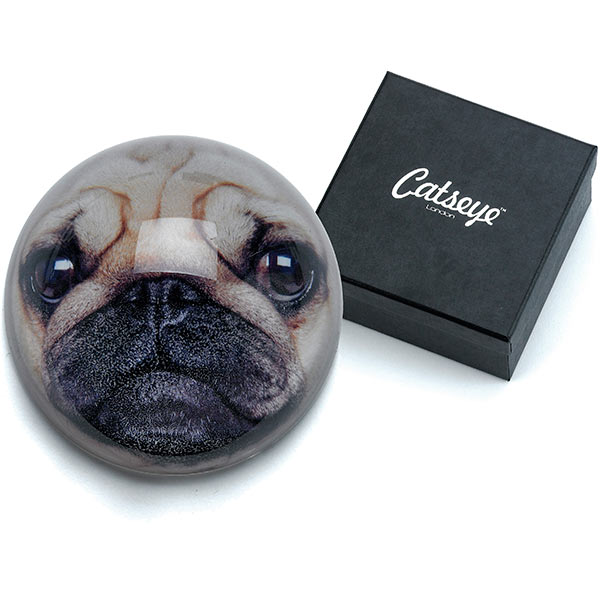 Pug Paperweight