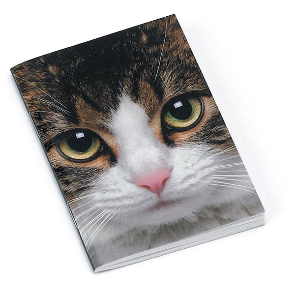 Tabby Cat Little Notebook