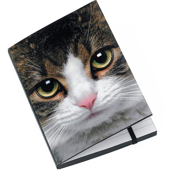 Tabby Cat A6 Notebook