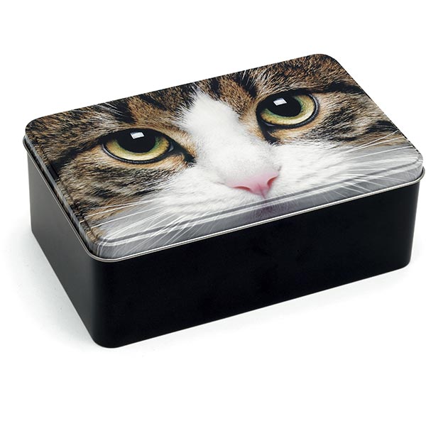 Tabby Cat Storage Tin