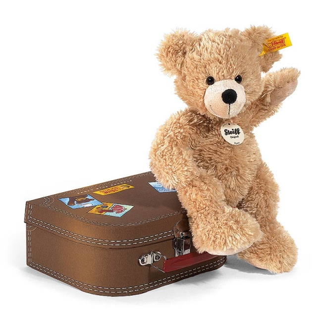Fynn Teddy Bear in Suitcase