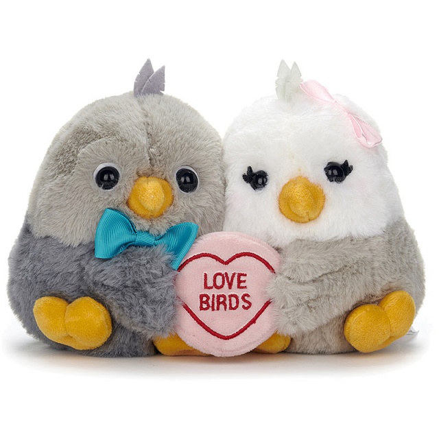 Love Hearts Love Birds