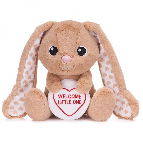 Love Hearts Welcome Little One Bunny