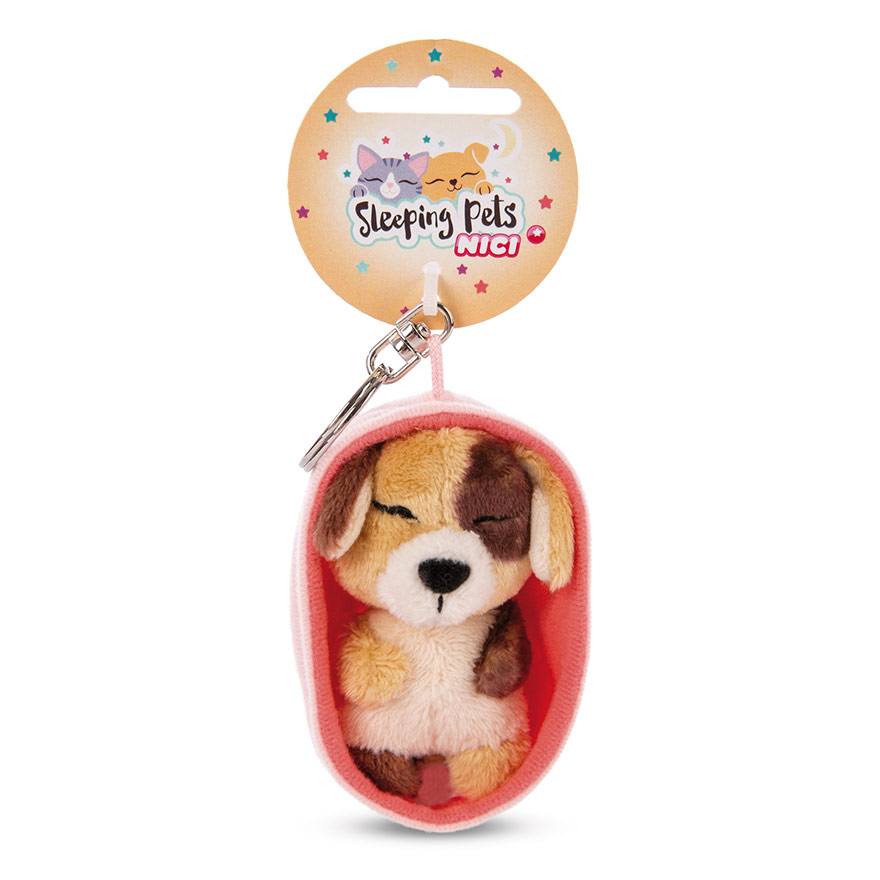 Sleeping Pets Biscuit Dog Keyring