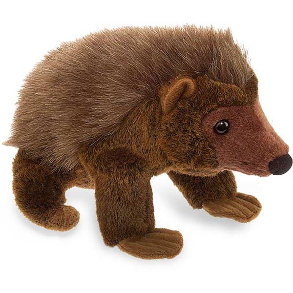 Cuddlekins Hedgehog