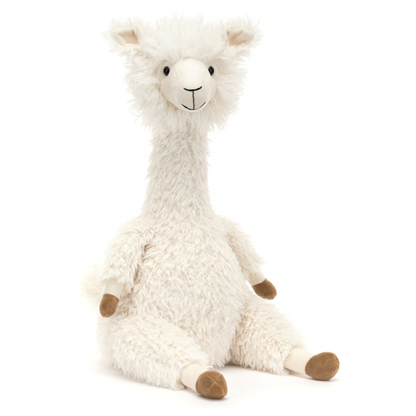 Alonso Alpaca