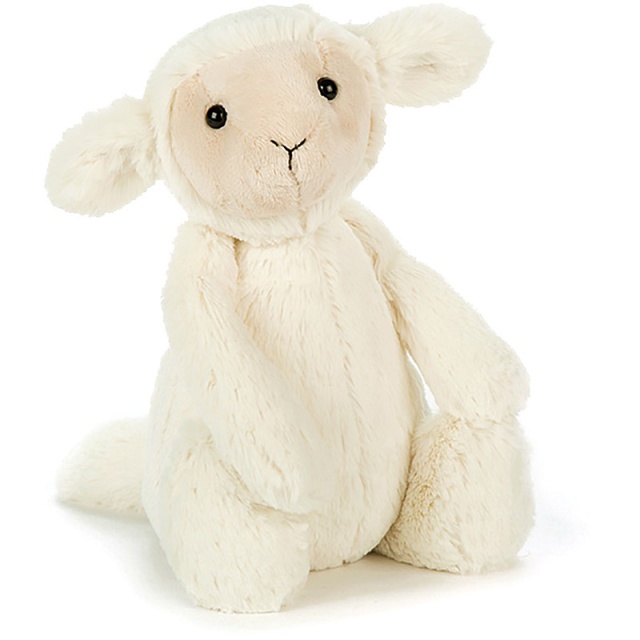 Bashful Lamb