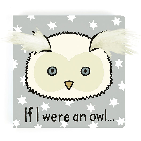 If I Were An Owl Board Book