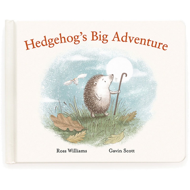 Hedgehog's Big Adventure Book