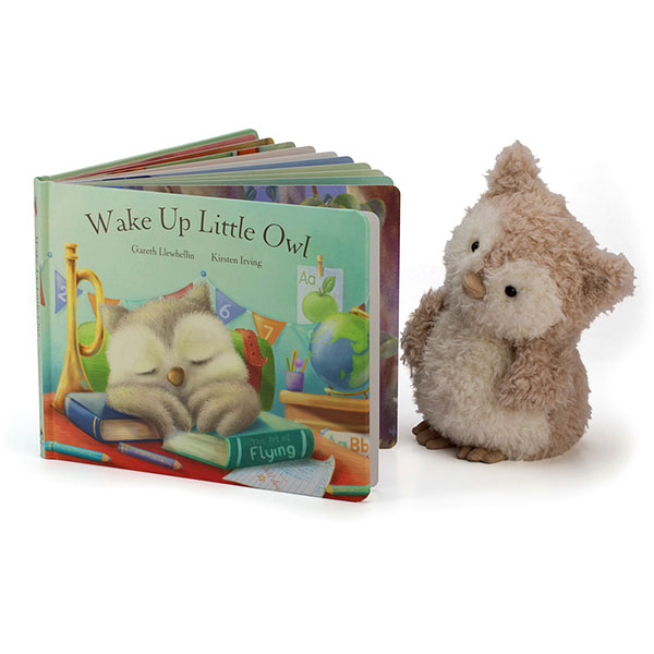 Wake Up Little Owl Book