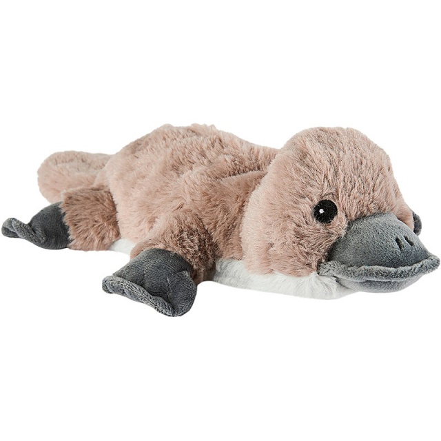 Cozy Platypus