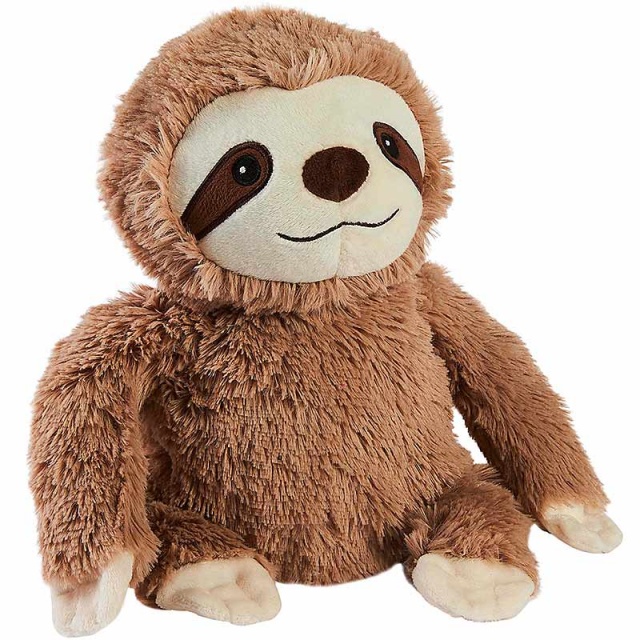 Cozy Sloth