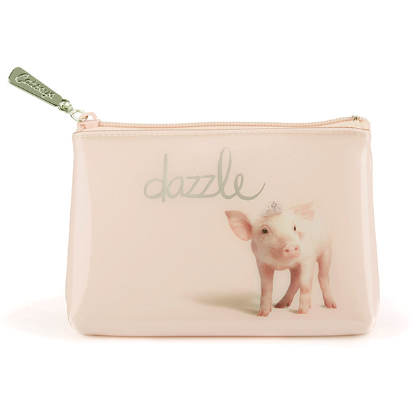 Dazzle Pouch