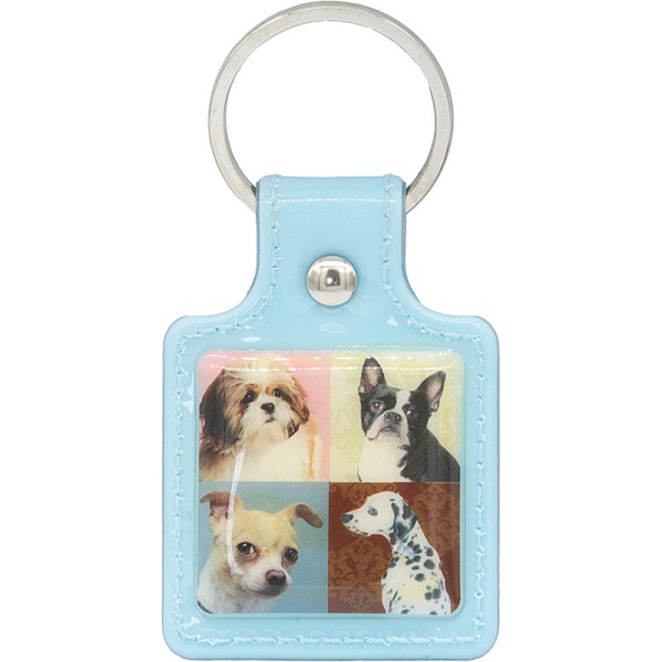 Catseye Dog Keyring