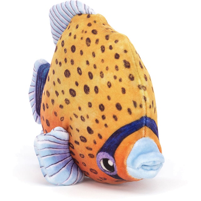 Fishiful Orange