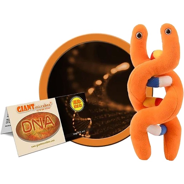 DNA