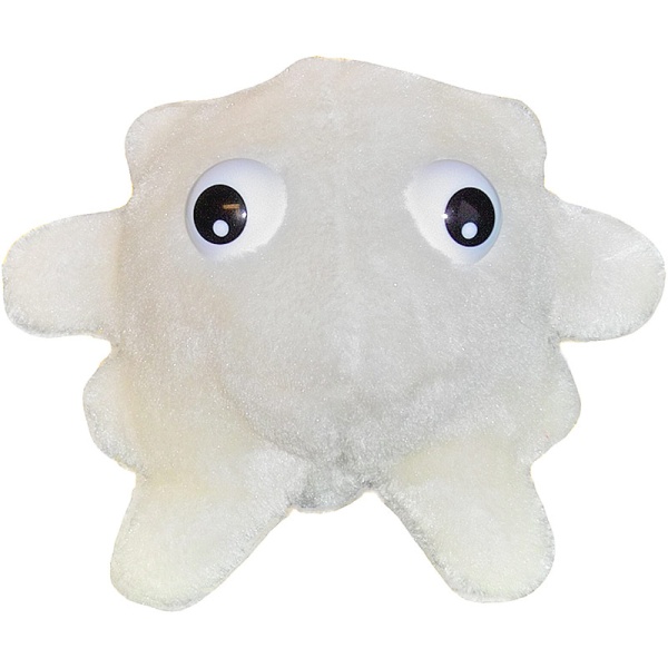 White Blood Cell