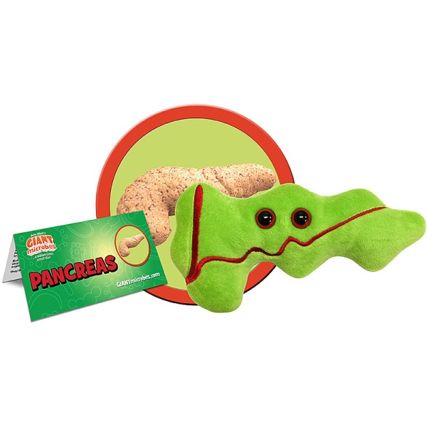 Pancreas
