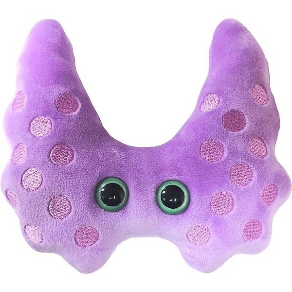 Thyroid
