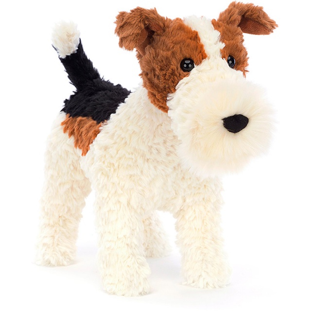 Hector Fox Terrier