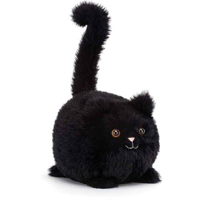 Black Kitten Caboodle