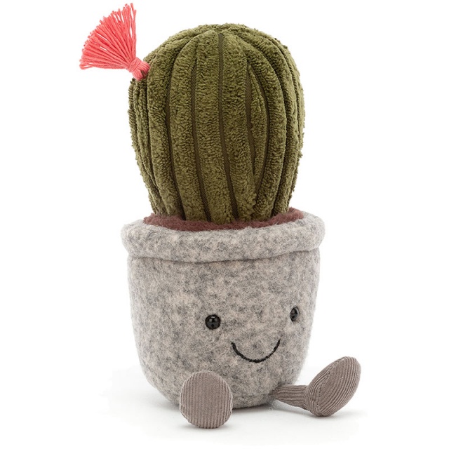 Silly Succulents Barrel Cactus