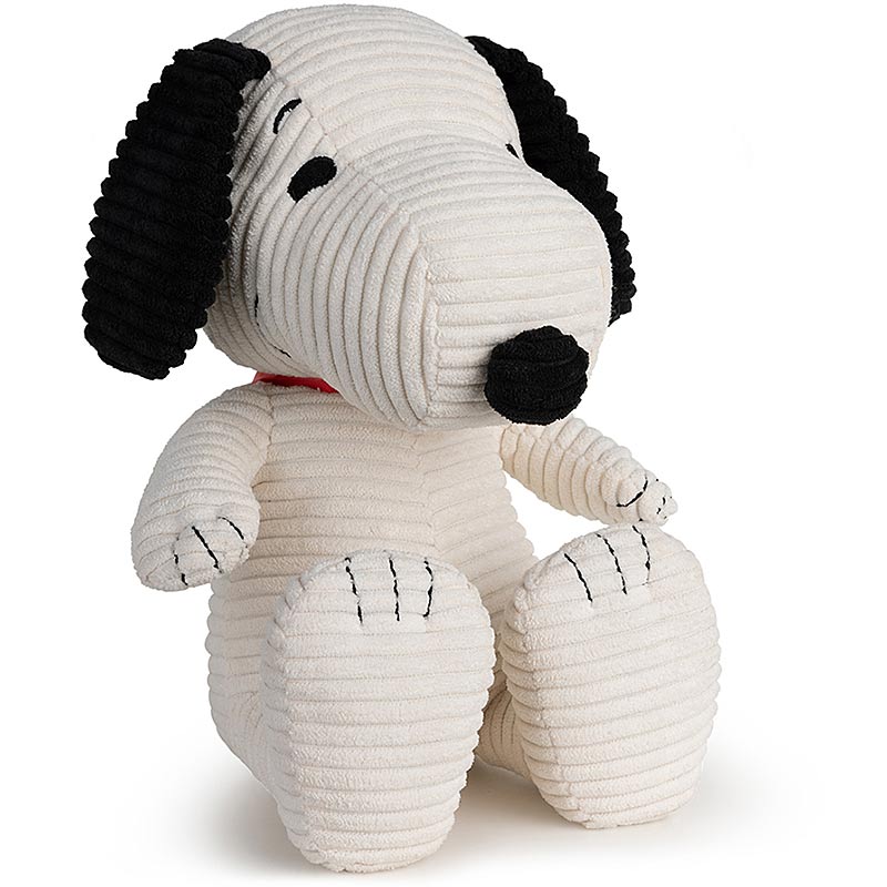 Hello Snoopy with Cheese Printed Co-ord Set