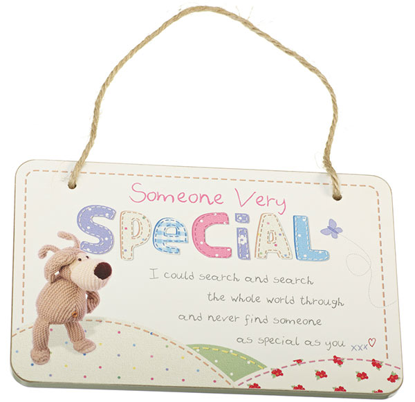 Someone Very Special Wooden Plaque