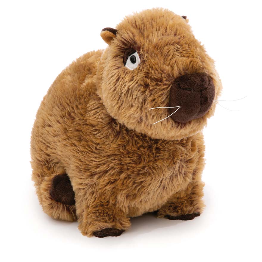 NICI Capybara