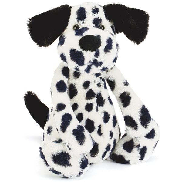 Bashful Dalmatian