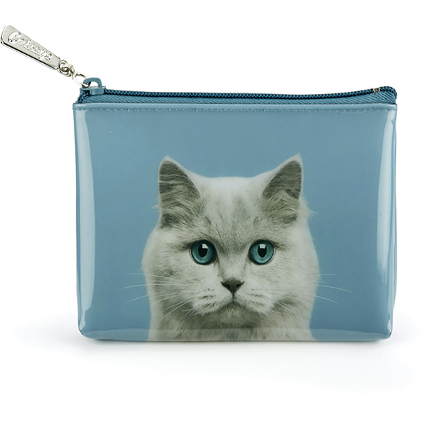 Cat on Blue Pouch