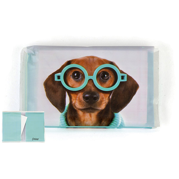 Glasses Dog Tissues
