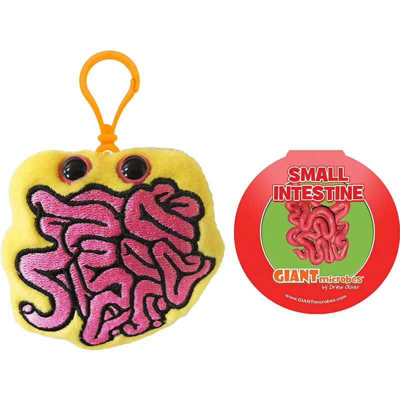 Giant Microbes Small Intestine Keyring