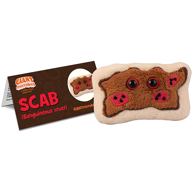 Scab