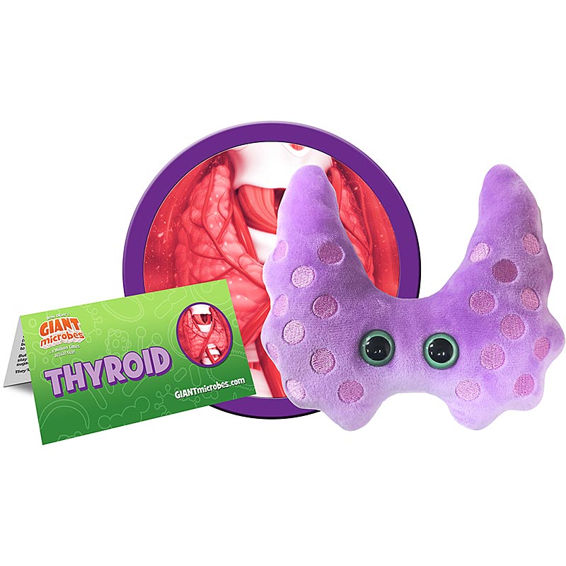 Thyroid