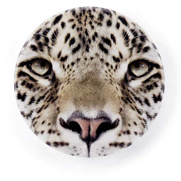 Leopard Handbag Mirror