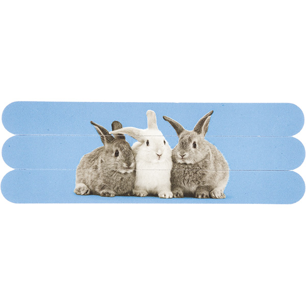 Rabbits on Blue Nail Files