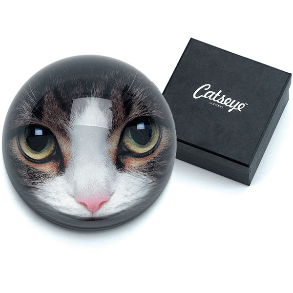Tabby Cat Paperweight