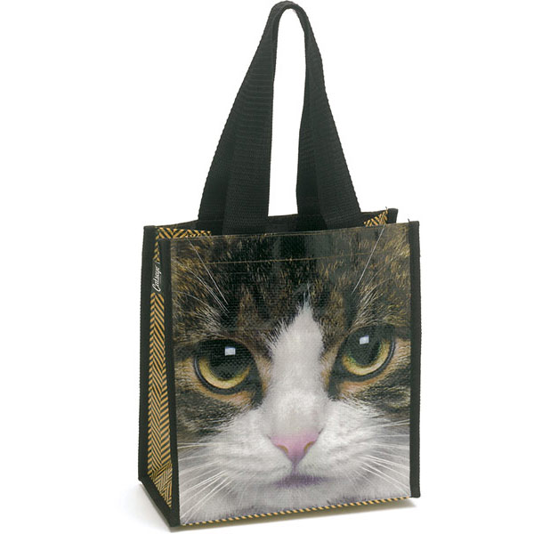 Tabby Cat Carry Bag